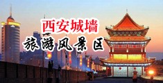 麻豆处插入中国陕西-西安城墙旅游风景区